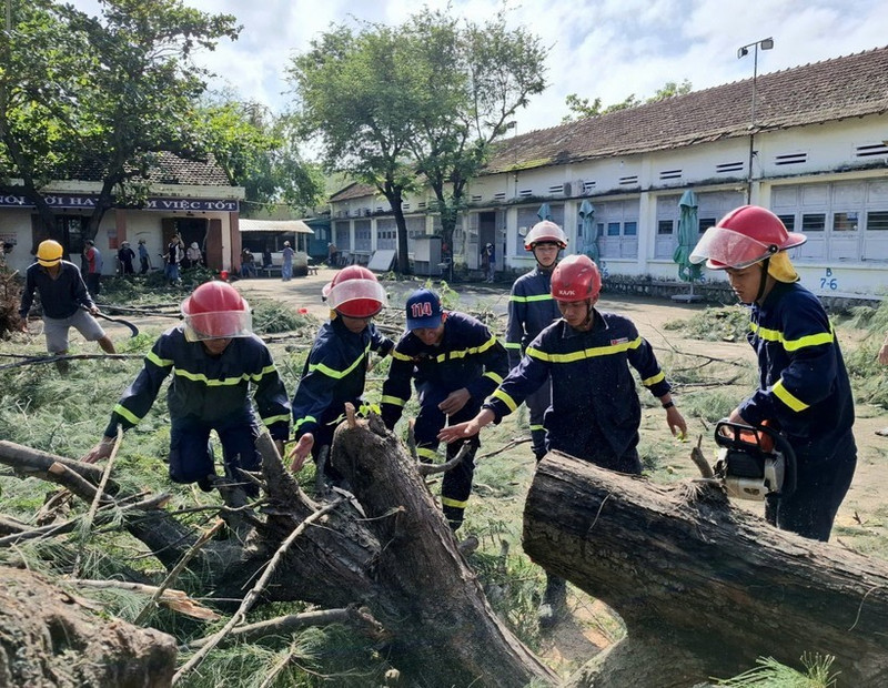 Un arbre tombé près du lycée Nguyen Hong Son, dans le quartier de Xuan Dai, province de Dak Lak, a été dégagé. Photo : VNA.