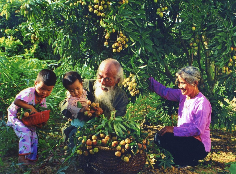 Les valeurs familiales comme fondement des valeurs nationales: Photo : cand.com.vn