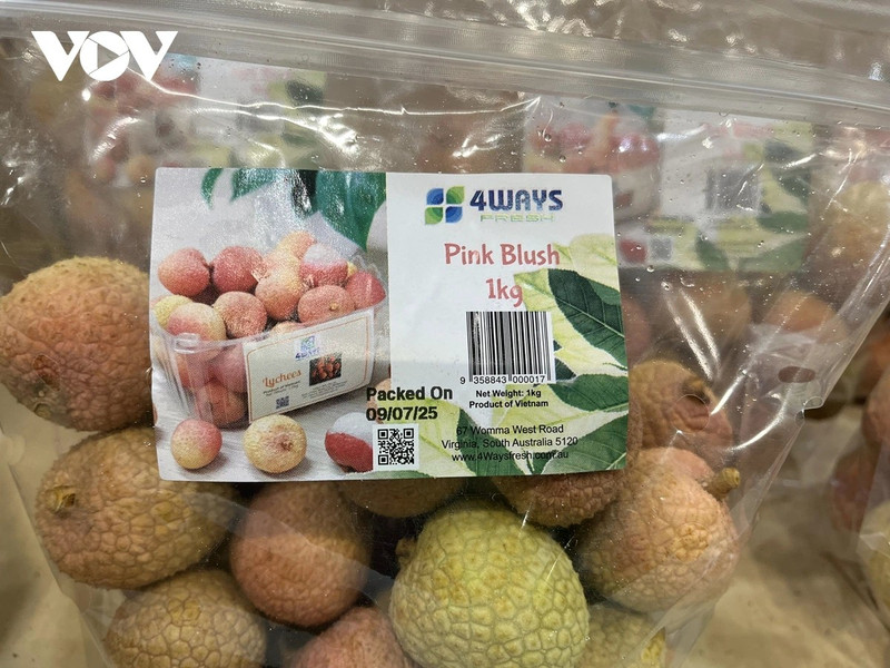 Des sacs de litchis vietnamiens frais sont vendus au supermarché Costco Lidcombe, à Sydney, en Australie. Photo : VOV.