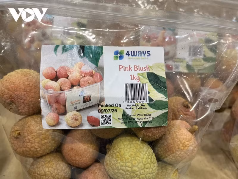 Des sacs de litchis vietnamiens frais sont vendus au supermarché Costco Lidcombe, à Sydney, en Australie. Photo : VOV.