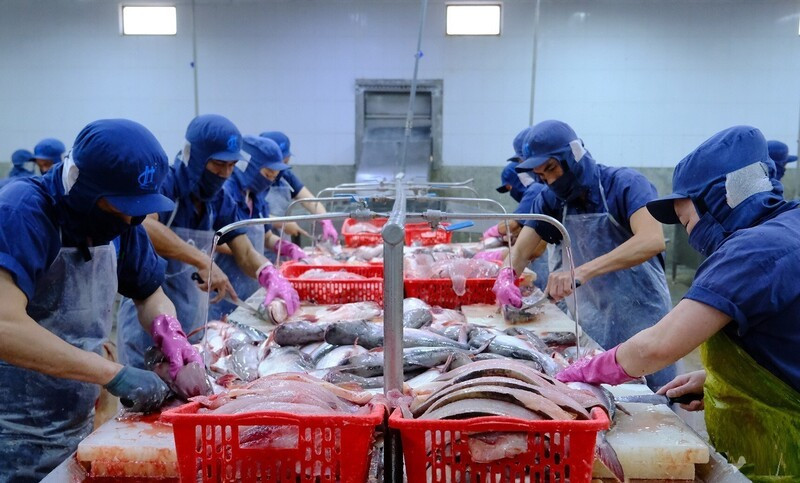 Dans les temps à venir, les entreprises exportatrices devront accroître leurs investissements dans la production et la transformation afin d'exploiter le marché mexicain et le vaste marché latino-américain. Photo : congthuong.vn