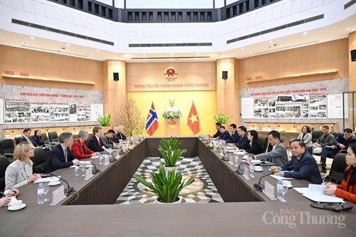 Séance de travail entre le ministre par intérim de l'Industrie et du Commerce, Le Manh Hung, et Åsmund Aukrust, ministre norvégien du Développement international. Photo : baodanang.vn