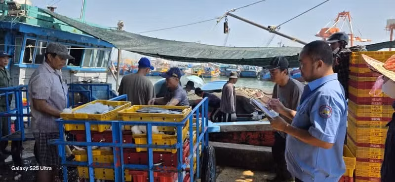 Au Centre du Vietnam, les pêcheurs modernisent leurs pratiques grâce aux technologies numériques et aux modèles de production en mer. Photo : VNA
