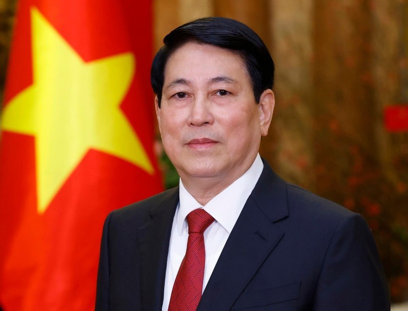 Le président vietnamien, Luong Cuong. Photo : VNA.