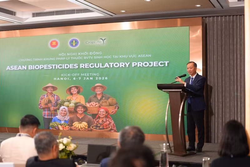 Nguyên Quang Hiêu, chef adjoint du Département de la production végétale et de la protection des végétaux relevant du ministère de l’Agriculture et de l’Environnement. Photo : VNA