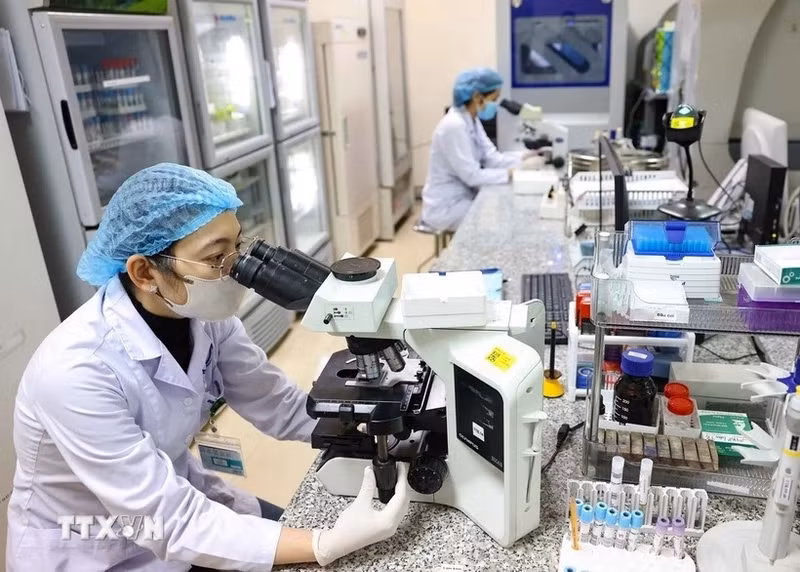 À l’horizon 2045, le corps intellectuel devra figurer parmi les meilleurs de la région et atteindre un niveau proche de celui des pays développés. Photo : VNA.
