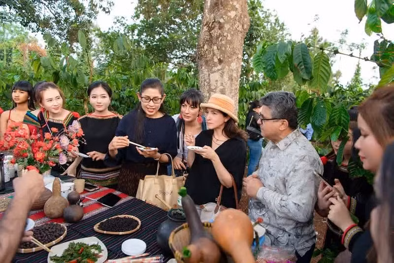 Des délégués ont découvert la culture du café dans la province de Dak Lak. Photo : nhandan.vn