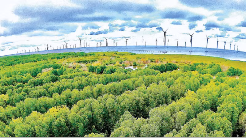 Le développement des énergies renouvelables est l'une des trois avancées stratégiques de Ca Mau à partir de 2026. Photo : NDEL.