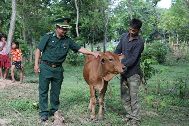 L'élevage de vaches permet à de nombreux ménages d'augmenter leurs revenus et de sortir de la pauvreté. Photo : NDEL.