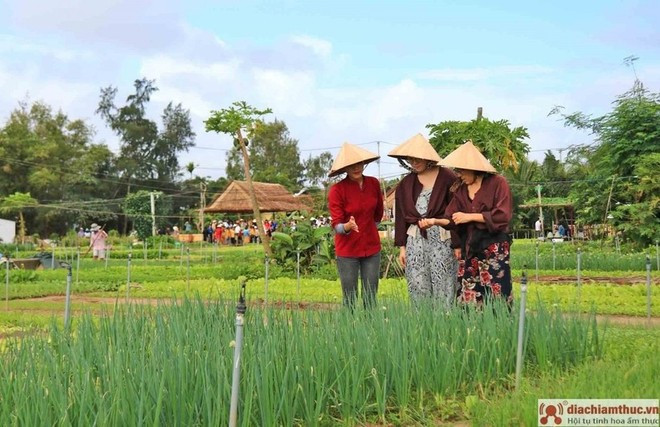 Le village de Trà Quê, l'un des meilleurs villages touristiques du monde. Photo : diachiamthuc.vn