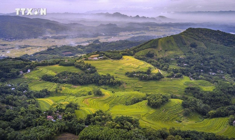 Dans le district de Mien Doi, les collines sont parsemées de champs en terrasses et d'arbres forestiers. Photo : baotintuc.vn