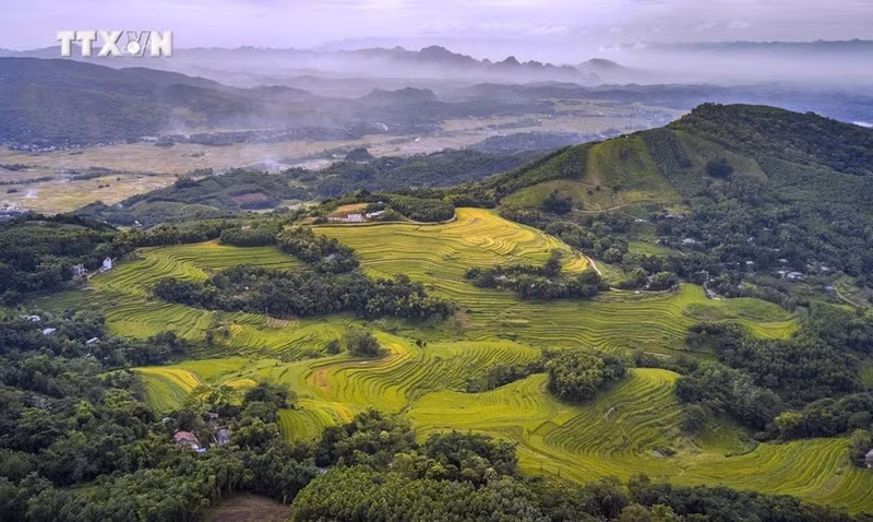 Dans le district de Mien Doi, les collines sont parsemées de champs en terrasses et d'arbres forestiers. Photo : baotintuc.vn
