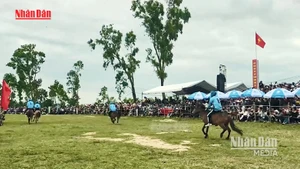 Festival de courses hippiques de Go Thi Thung au printemps 2026 à Dak Lak
