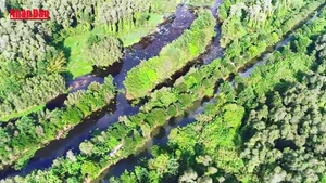 Préservation de la biodiversité de la réserve naturelle de Lung Ngoc Hoang