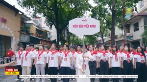 Les Viet kieu – une ressource stratégique pour le développement national