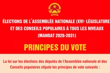 [Infographie] Principes du vote pour les élections des députés de l’Assemblée nationale et des Conseils populaires