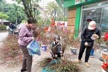 Les rues animées par l’effervescence des achats du Têt