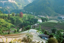 Espaces paisibles et préservés de Ban Liên. 