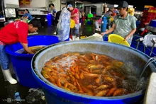 L’effervescence du plus grand marché aux carpes de Hô Chi Minh-Ville