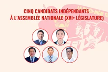 [Infographie] Cinq candidats indépendants à l’Assemblée nationale (XVIᵉ législature) 
