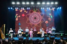 Un spectacle culturel traditionnel vietnamien présenté par des artistes dans le cadre du programme d'échange culturel. Photo : VNA.
