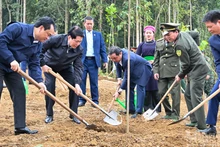 [EN IMAGES] Le Président vietnamien assiste à la cérémonie de lancement de la « Fête de plantation d’arbres en mémoire du Président Hô Chi Minh »