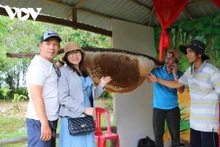 Le miel de la forêt d’U Minh Ha figure parmi les 100 cadeaux les plus prisés du Vietnam.
