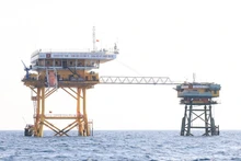 Printemps sur les « bornes vivantes » au milieu de l’océan