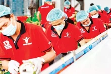 Transformation de noix de coco destinées à l'exportation chez Vina T&T Group. Photo : nhandan.vn 