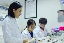 Un enseignant de l’Université des sciences et des technologies de Hanoï (USTH) guide des étudiants dans leurs recherches scientifiques. Photo : USTH 