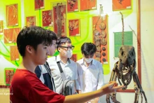Des élèves visitent et découvrent le Musée d’Histoire naturelle du Vietnam. Photo : VNA 