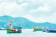 Les bateaux de pêche s’animent au port de Con Dao. Photo : PHAM MONG.