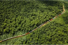 Photo: D.X/thanhnien.vn 