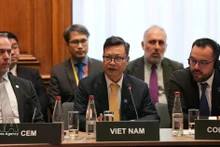 L’ambassadeur du Vietnam en France, Trinh Duc Hai, s'exprime à la réunion ministérielle de l’Agence internationale de l’énergie (AIE) 2026. Photo: VNA 