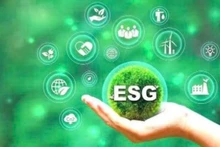 L'application des critères ESG (environnementaux, sociaux et de gouvernance) dans la production agricole s'impose aujourd'hui comme une tendance majeure. Photo d'illustration