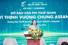 Caroline Beresford, ambassadrice de Nouvelle-Zélande au Vietnam, prenant la parole lors du séminaire. Photo : Dautu.