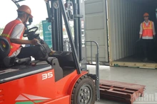 Étudiants en logistique du Collège maritime et des voies navigables no 1 lors d'une session de simulation pratique.