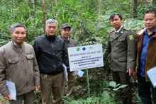 Modèle de culture de plantes médicinales dans le parc national de Ba Vi. Photo : nongnghiepmoitruong