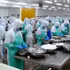 Malgré leur contribution importante aux exportations, la plupart des entreprises technologiques vietnamiennes restent cantonnées aux activités de sous-traitance à faible valeur ajoutée. Photo : VOV.