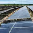 Nettoyage des panneaux solaires à la centrale solaire de Gio Thành, province de Quang Tri. Photo : VNA.