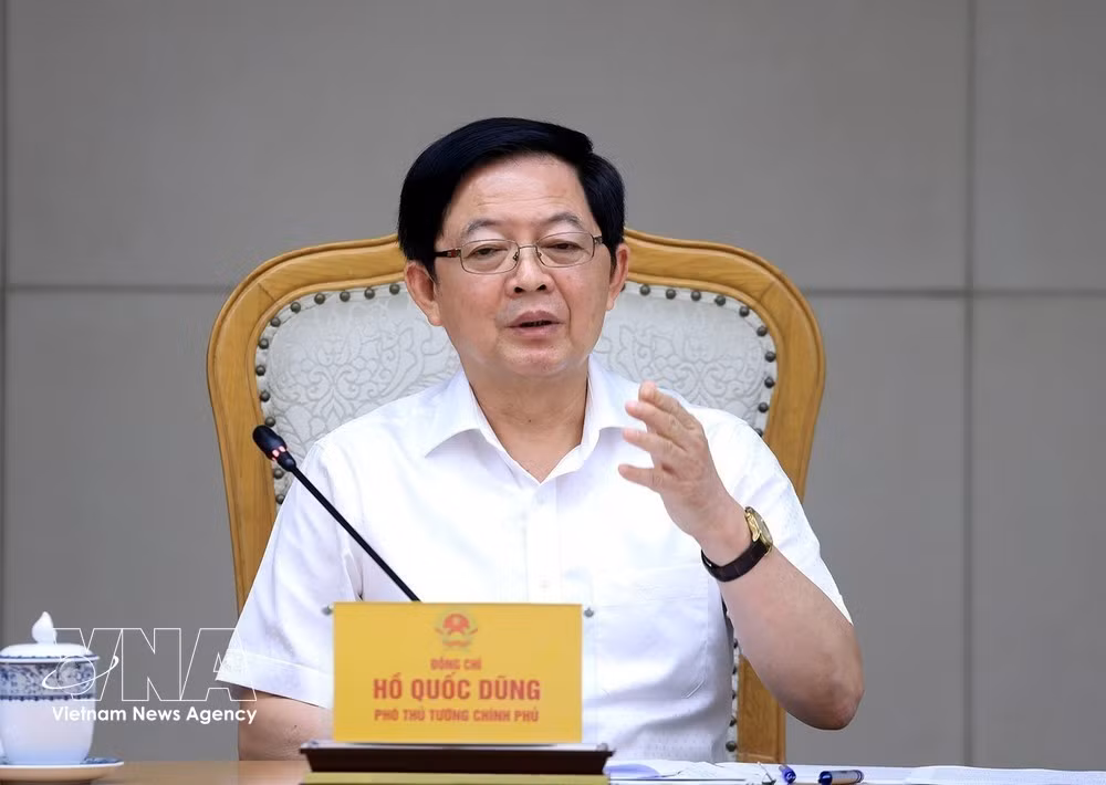 Le vice-Premier ministre Ho Quoc Dung prend la parole lors de la réunion. Photo : VNA