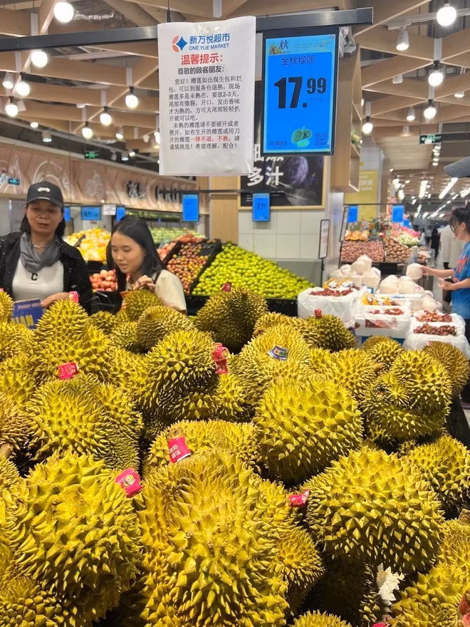 Le durian vietnamien est de plus en plus populaire auprès des consommateurs chinois. Photo : Internet.