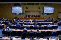 Panorama de la réunion de la Quatrième Commission tenue le 7 novembre 2022. Photo: VOV