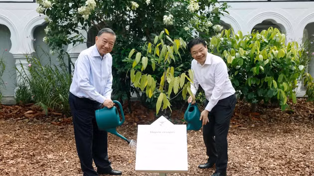 Le secrétaire général du Parti communiste du Vietnam et président de la République To Lam et le Premier ministre Lawrence Wong plantent un arbre au Jardin botanique de Singapour. Photo : VNA.