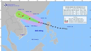 Trajectoire de la tempête tropicale Matmo. Source : Centre national de prévision hydrométéorologique du Vietnam.