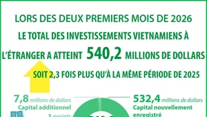  [Infographie] Le total des investissements vietnamiens à l’étranger atteint 540,2 millions de dollars en deux mois
