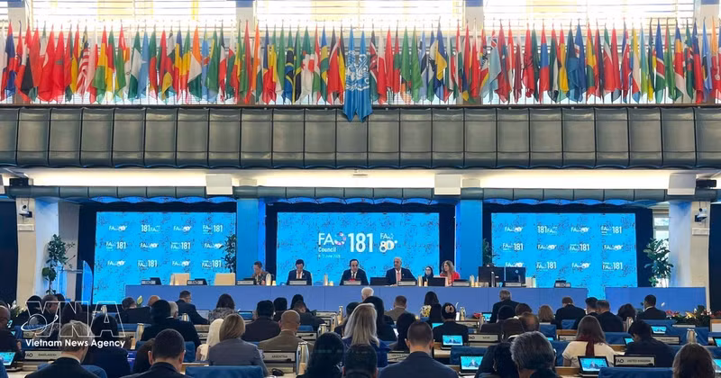 Lors de l’ouverture de la 181e session du Conseil de la FAO, qui se déroule à Rome, en Italie. Photo : VNA.