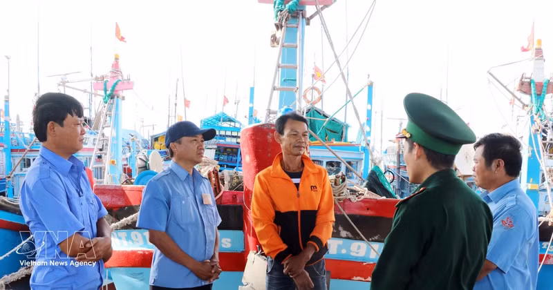 La province de Khanh Hoa déterminée à contribuer à la levée du « carton jaune » sur la pêche INN aux côtés de l’ensemble du pays. Photo : VNA.