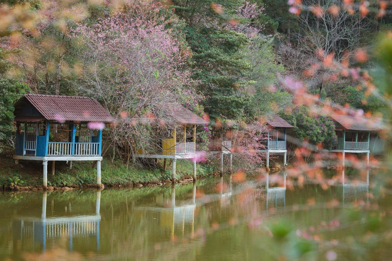 Le printemps est la plus belle saison de l’année à Mang Den. Photo: hanoimoi.vn