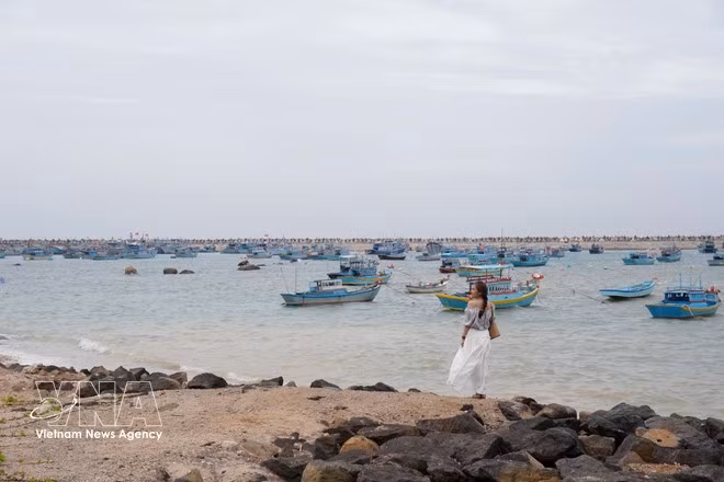 La zone spéciale de Phu Quy attire de nombreux visiteurs. Photo : VNA.